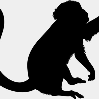 Monkey   Clipart 2 Thumbnail
