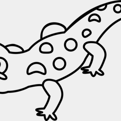 Newt   Clipart 2 Thumbnail