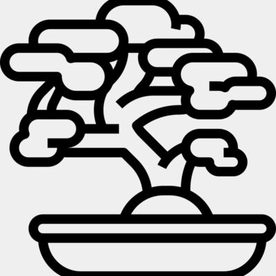 Bonsai Tree Thumbnail