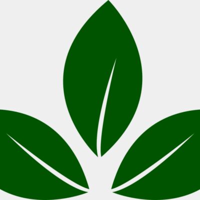 Leaves 5 Thumbnail