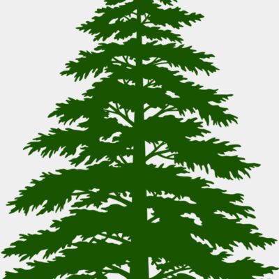 Tree Plant 3 Thumbnail