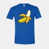 Softstyle 4.5 oz. T-Shirt Thumbnail