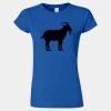 Softstyle® Women’s T-Shirt Thumbnail