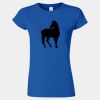 Softstyle® Women’s T-Shirt Thumbnail